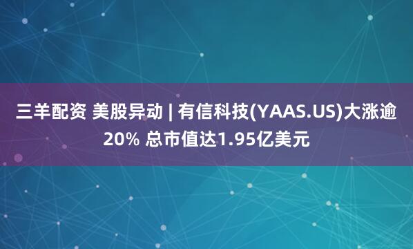三羊配资 美股异动 | 有信科技(YAAS.US)大涨逾20% 总市值达1.95亿美元