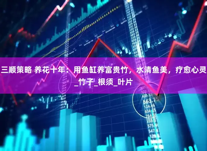 三顺策略 养花十年：用鱼缸养富贵竹，水清鱼美，疗愈心灵_竹子_根须_叶片