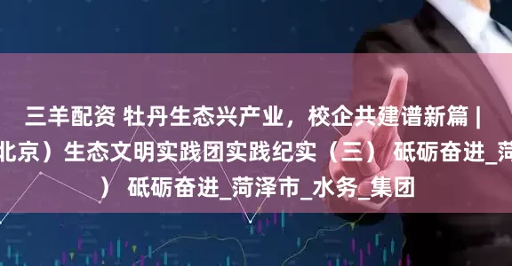 三羊配资 牡丹生态兴产业，校企共建谱新篇 | 中国地质大学（北京）生态文明实践团实践纪实（三） 砥砺奋进_菏泽市_水务_集团