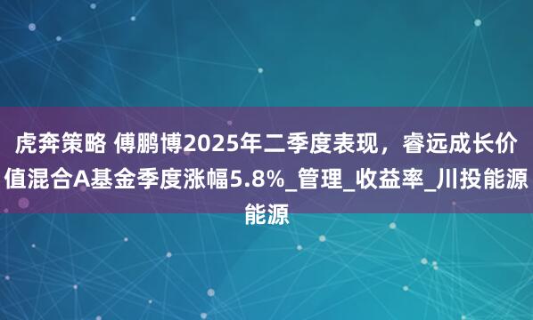 虎奔策略 傅鹏博2025年二季度表现，睿远成长价值混合A基金季度涨幅5.8%_管理_收益率_川投能源